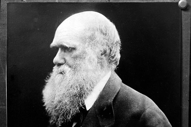 O naturalista inglês Charles Darwin (1809-1882), que formulou a teoria da evolução e seleção natural das espécies. 