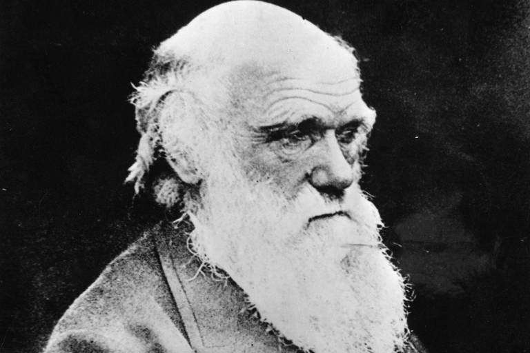 Nova edição de clássico de Darwin recupera seu contexto histórico