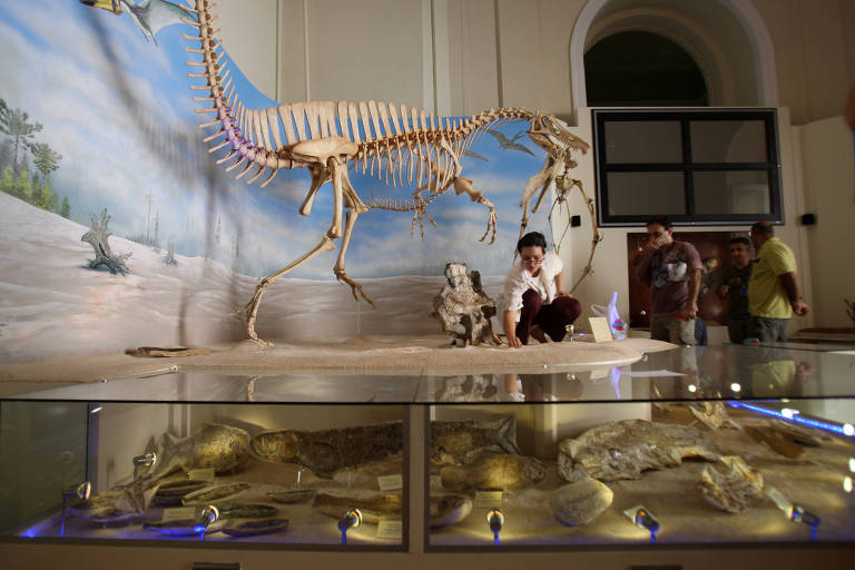 Paleontólogo trabalha em esqueleto de um espinossauro carregando um pterossauro no Museu Nacional