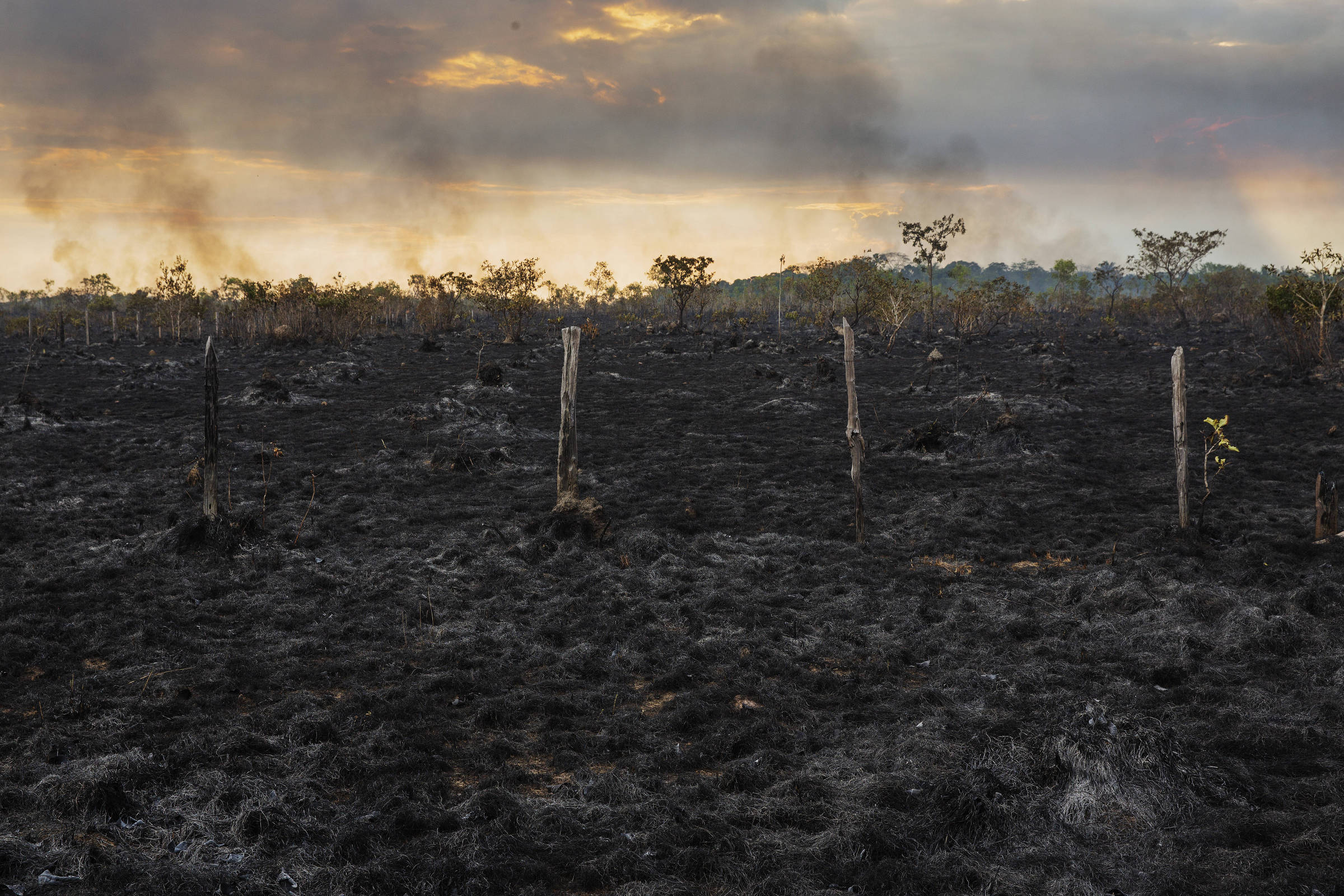 Desmatamento Na Amazônia Explode Durante Período Eleitoral - 11/11/2018 ...