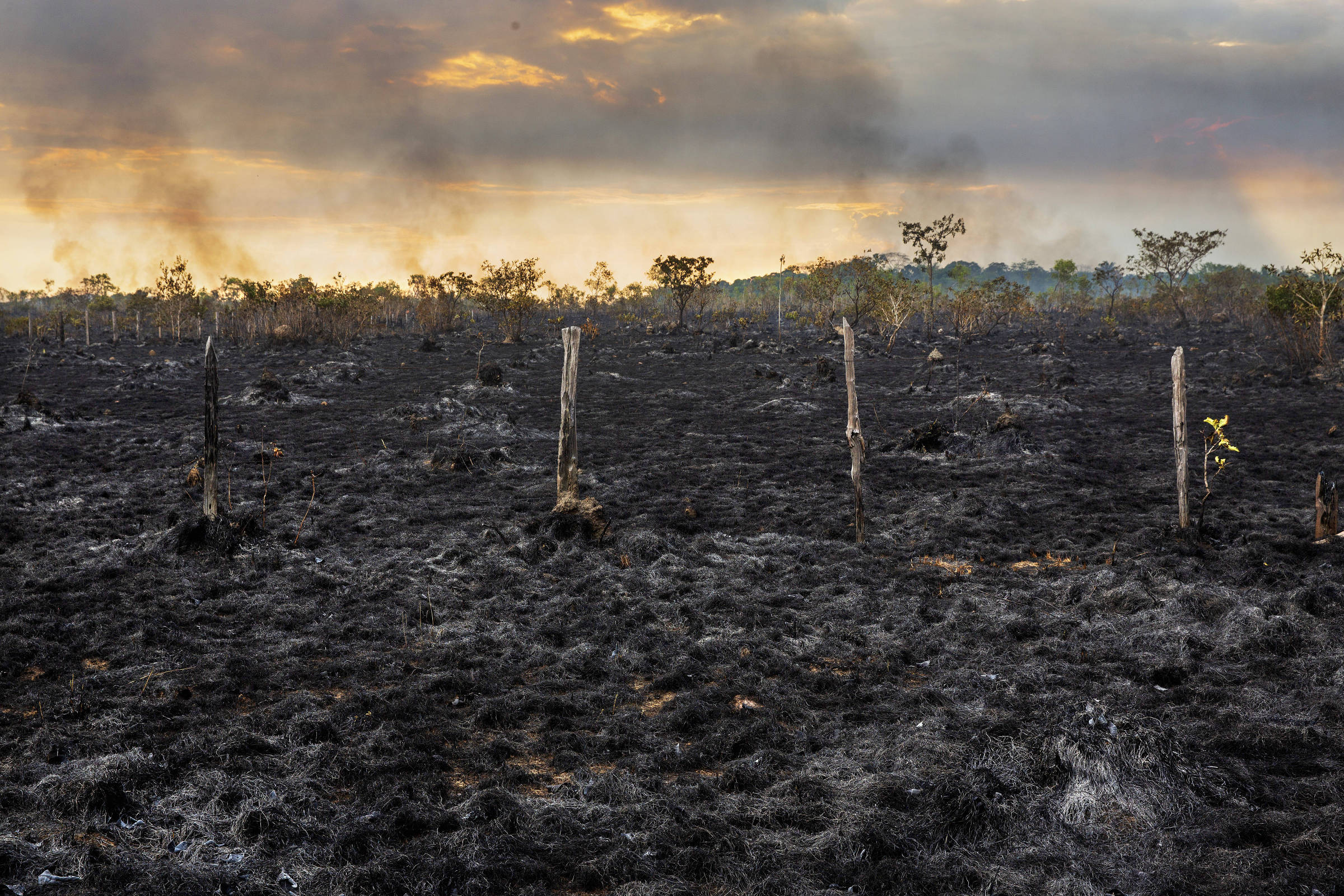 Desmatamento na Amazônia cresce 14% e é o maior desde 2008