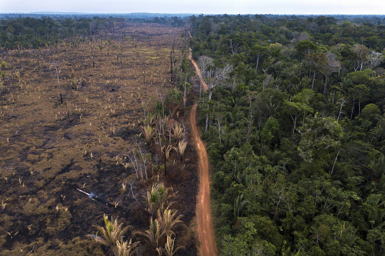 Área desmatada na APA Rio Pardo, no limite com a Floresta Nacional Bom Futuro