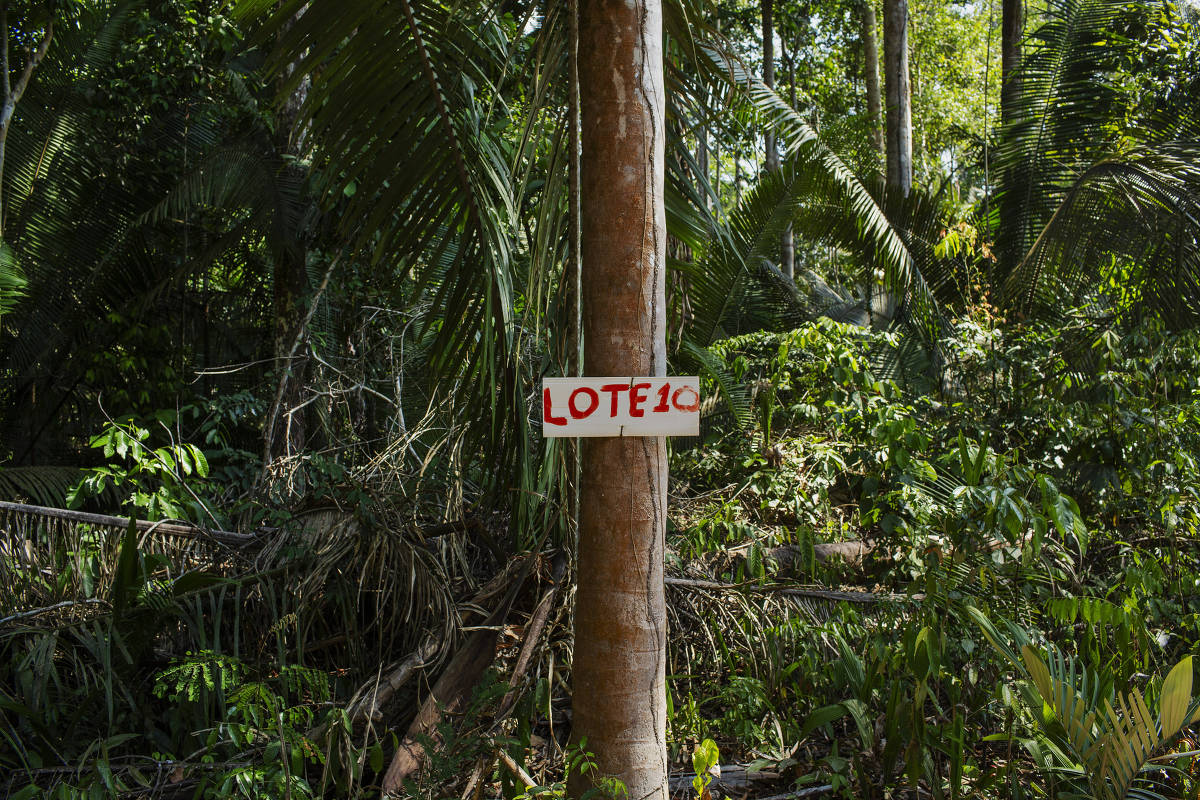 Placa indica área de grilagem dentro da Floresta Nacional Bom Futuro em Rondônia