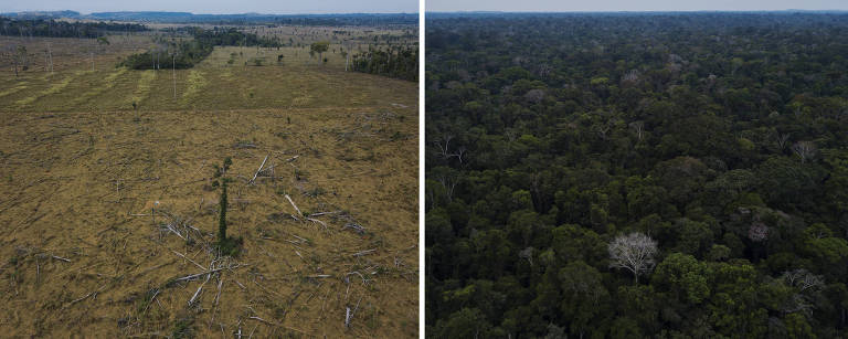 Montagem mostra área desmatada na APA do Rio Pardo e região da Floresta Nacional Bom Futuro em Rondônia
