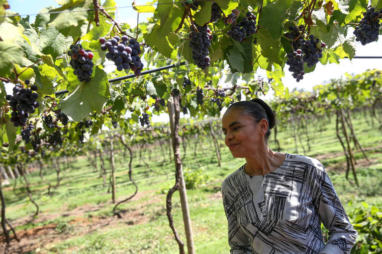 A candidata à Presidência da República Marina Silva (Rede) visita a fazenda Santa Brígida em Ipameri, Goiás