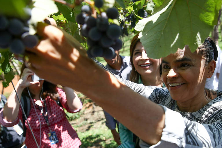 A candidata à Presidência da República Marina Silva (Rede) visita a fazenda Santa Brígida em Ipameri, Goiás