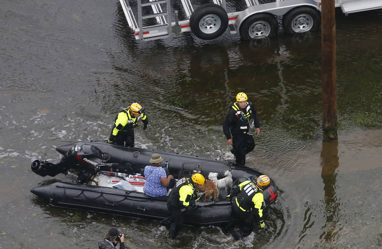 Animais são resgatados e transferidos com avanço do furacão Florence