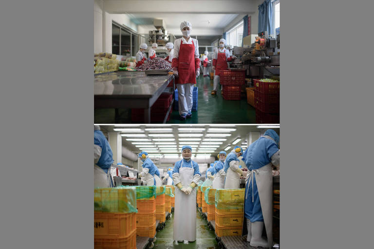 Acima, a norte-coreana Hong Kum Ju, 27, na fábrica de alimentos onde trabalha, perto da cidade portuária de Wonsan; abaixo, Kim Si-eun, 49, na fábrica de comida enlatada onde trabalha, em Jincheon, sul de Seul 