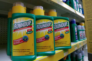 FILE PHOTO: Monsanto's Roundup weedkiller atomizers are displayed for sale at a garden shop near Brussels