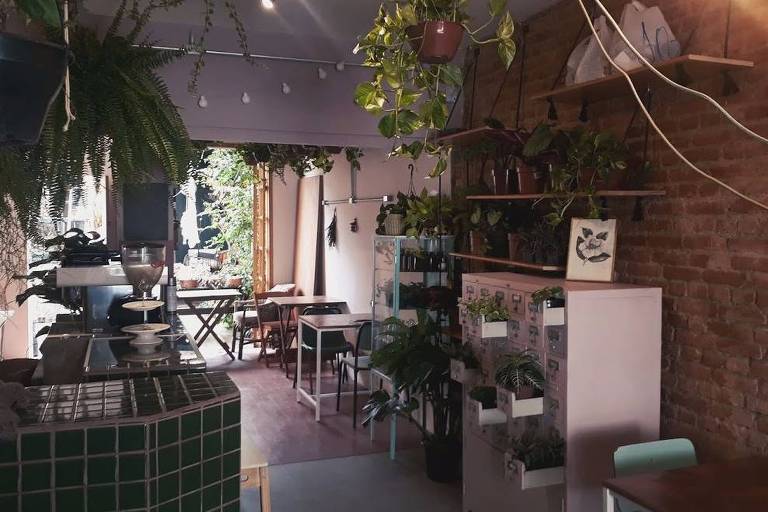 Ambiente da cafeteria Botanista