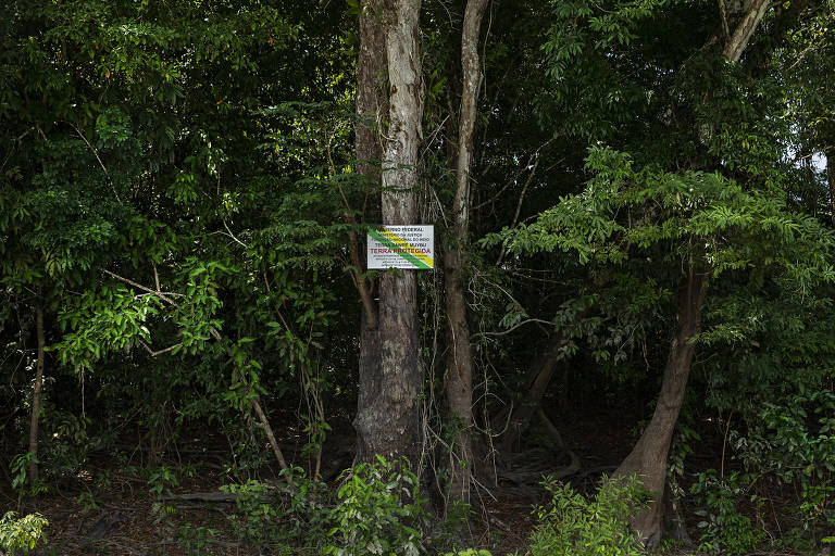 Placa de auto demarcação de terra indígena em área dos índios mundurucus