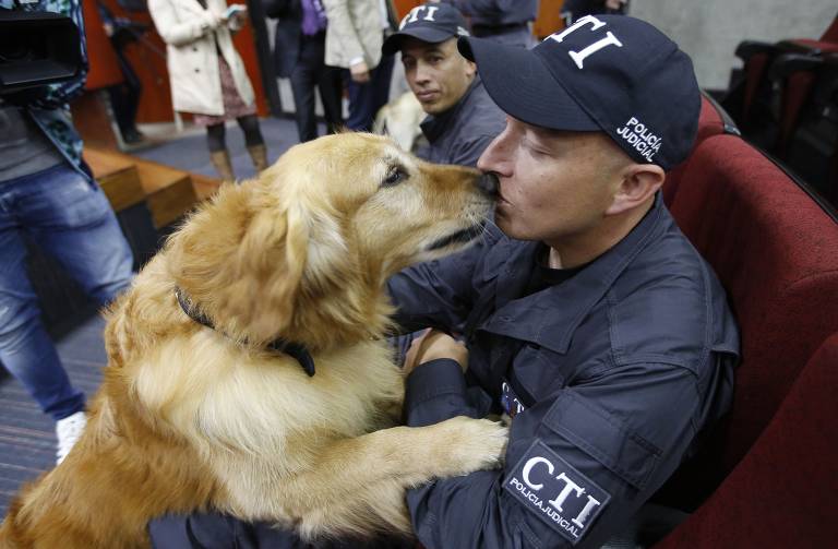 Cães policiais se aposentam