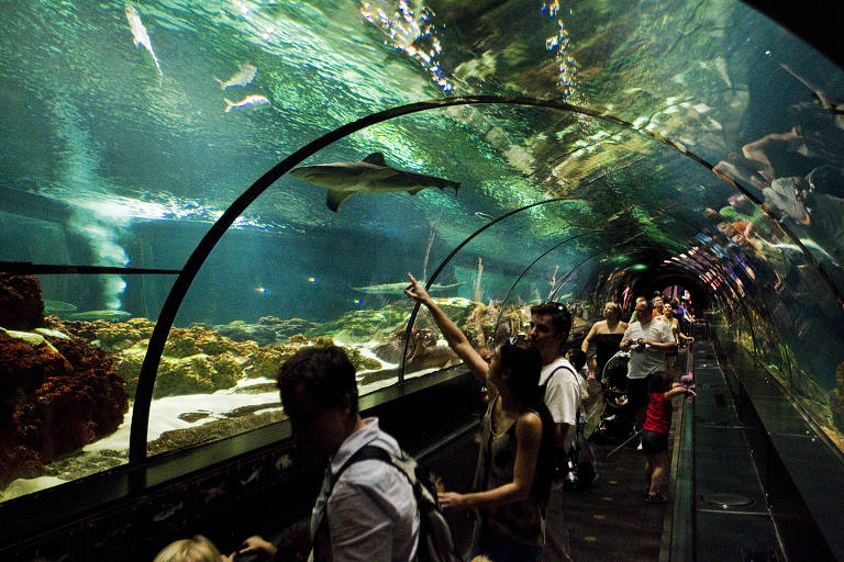 Turistas no parque temático do Sea World, em Orlando, nos EUA