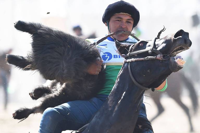 O Jogo De Ação Do Cavalo Dos Cavaleiros Do Jogador De Ireland V Zimbabwe Em  Jogos Do Campeonato Da Polo-cruz Do Campeonato Do Mundo Em Campos Do  Equestrain De Shongweni Fora De