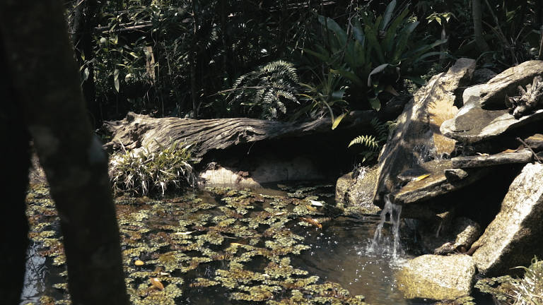 Parque Ecológico Imigrantes, que será inaugurado em 20 de novembro de 2018. Parque mistura mata com futurismo e acessibilidade