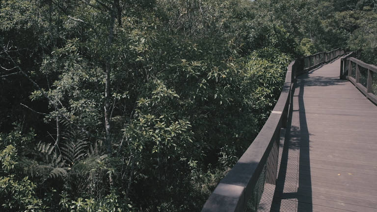 Parque Ecológico Imigrantes, que será inaugurado em 20 de novembro de 2018. Parque mistura mata com futurismo e acessibilidade