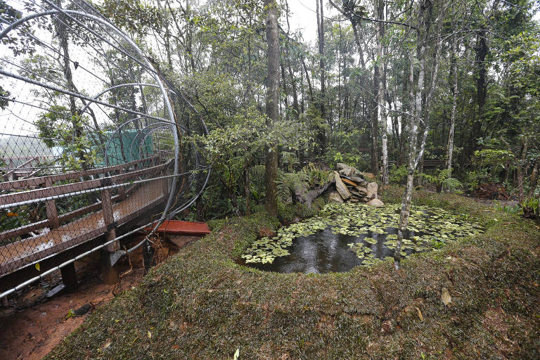 O Parque Ecológico Imigrantes, que quer facilitar o contato do visitante com parte da Mata Atlântica promovendo comportamentos sensoriais incomuns ao ambiente urbano