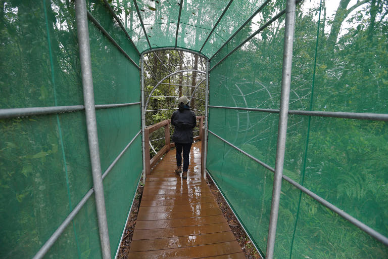 Parque Ecológico Imigrantes; o parque idealizado por uma fundação japonesa objetiva facilitar o contato do visitante com parte da Mata Atlântica promovendo comportamentos sensoriais incomuns ao ambiente urbano