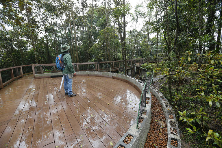 O Parque Ecológico Imigrantes, que quer facilitar o contato do visitante com parte da Mata Atlântica promovendo comportamentos sensoriais incomuns ao ambiente urbano