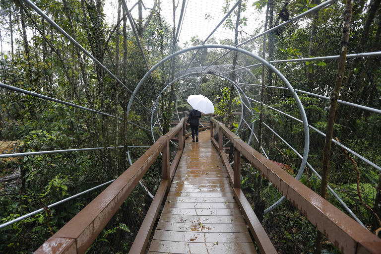 O Parque Ecológico Imigrantes, que quer facilitar o contato do visitante com parte da Mata Atlântica promovendo comportamentos sensoriais incomuns ao ambiente urbano