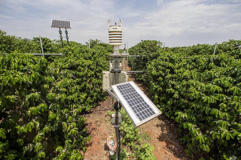 Os sensores também identificam condições climáticas e a umidade do solo para irrigação