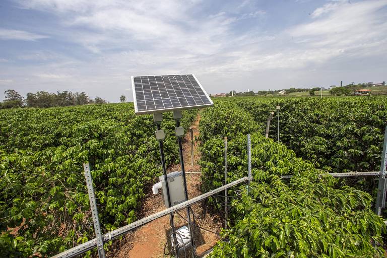 Os dados recolhidos por sensores são enviados por meio das torres de transmissão para o escritório