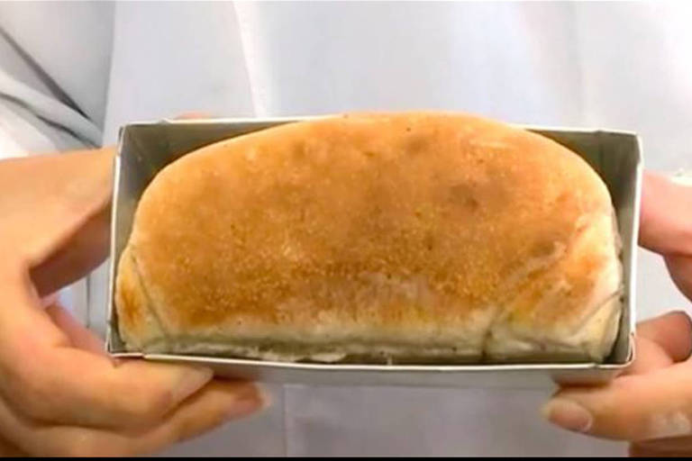 Pesquisadoras brasileiras desenvolvem pão feito com farinha de barata