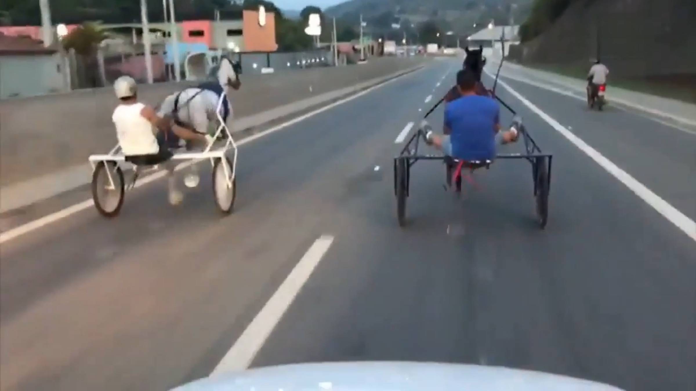 Polícia Civil investiga corridas clandestinas de charretes em  Cordeirópolis; vídeo flagra momento de queda de cavalo, Piracicaba e  Região