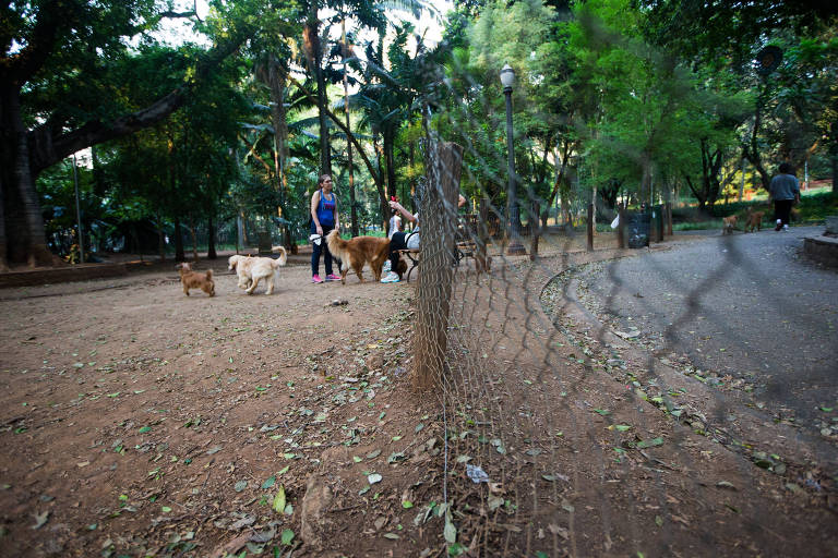Área de lazer destinada a cachorros no Parque Buenos Aires, em São Paulo