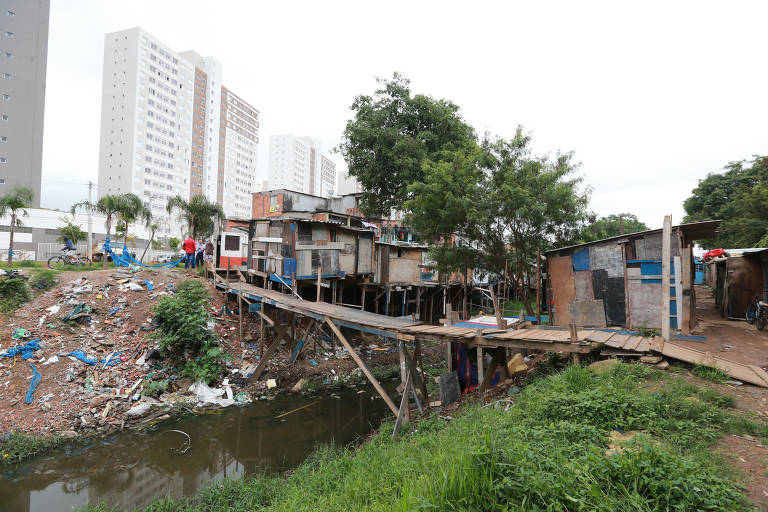 Vida a beira de córrego em São Paulo