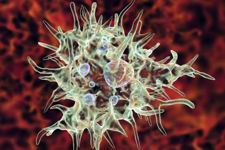 A rara ameba que come 'cérebro' humano e pode ser encontrada em lagos e piscinas sem tratamento