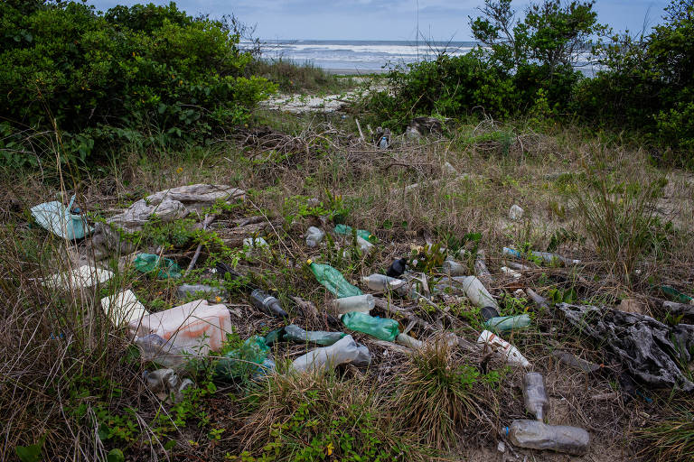 Garrafas plásticas espalhadas em terreno em frente à praia 
