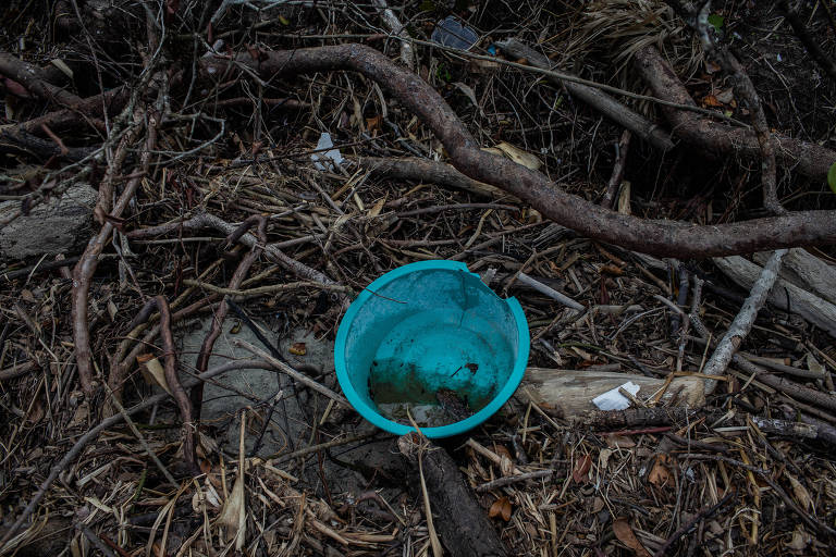 Placa com produtos plásticos proibidos na ilha - Area de Proteção Ambiental  Fernando de Noronha, Pulsar Imagens