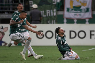 Soccer Brasileiro Championship - Palmeiras v Santos