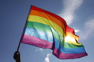 Rainbow flag is waved during a protest against proposed changes to the constitution in Bucharest
