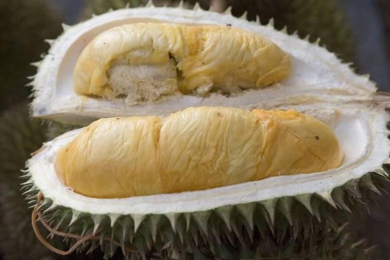 'A fruta mais fedorenta do mundo', o durião, causou revolta entre passageiros de um voo