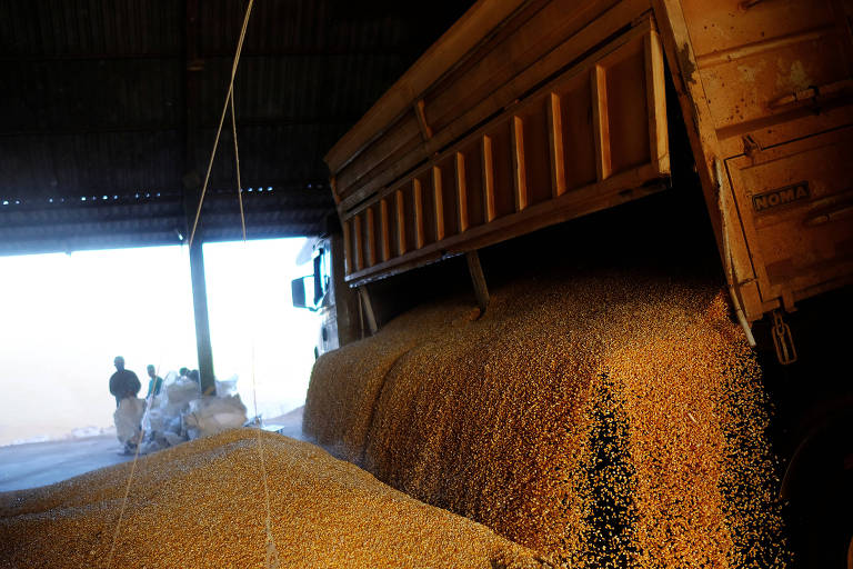 Caminhão descarrega soja em Mato Grosso 