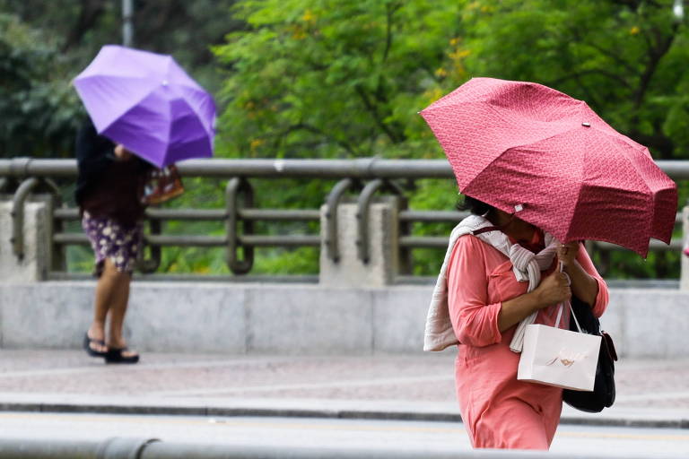 Com frio, calor e chuva, SP vai enfrentar 'clima gangorra' nesta semana