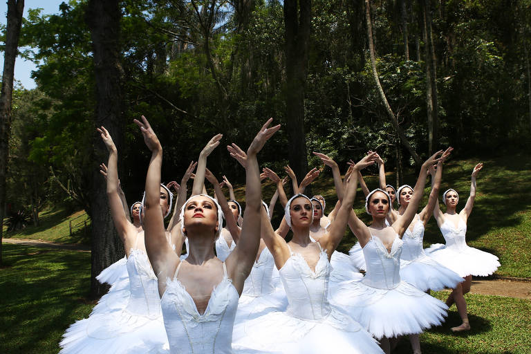 São Paulo, 22/10/2018  CULTURA  Elenco da São Paulo Companhia da Dança posa para fotos de divulgação do espetáculo Lago dos Cisnes, no Jardim Botânico em São Paulo. Foto: Mônica Bento/Folhapress