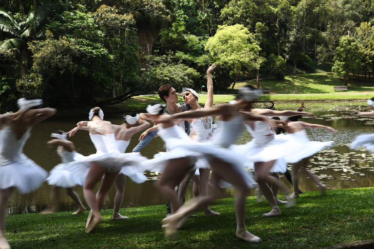 São Paulo, 22/10/2018  CULTURA  Elenco da São Paulo Companhia da Dança posa para fotos de divulgação do espetáculo Lago dos Cisnes, no Jardim Botânico em São Paulo. Foto: Mônica Bento/Folhapress
