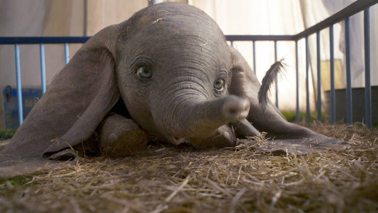 Cena do filme "Dumbo" em que ele é descoberto pela equipe do circo