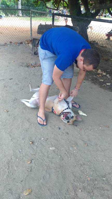 Leo, cachorro adotado na Argentina