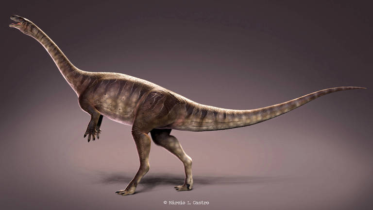Macrocollum itaquii, um sauropodomorfo; fósseis do dino pescoçudo mais antigo foram achados no Rio Grande do Sul 