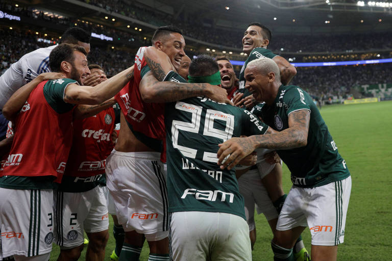 Jogadores do Palmeiras comemoram gol contra o América-MG 