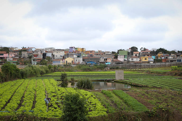 Horta comunitária na região de Parelheiros, no extremo sul de SP; distrito tem a maior proporção de área verde por habitante: 505m² para cada morador