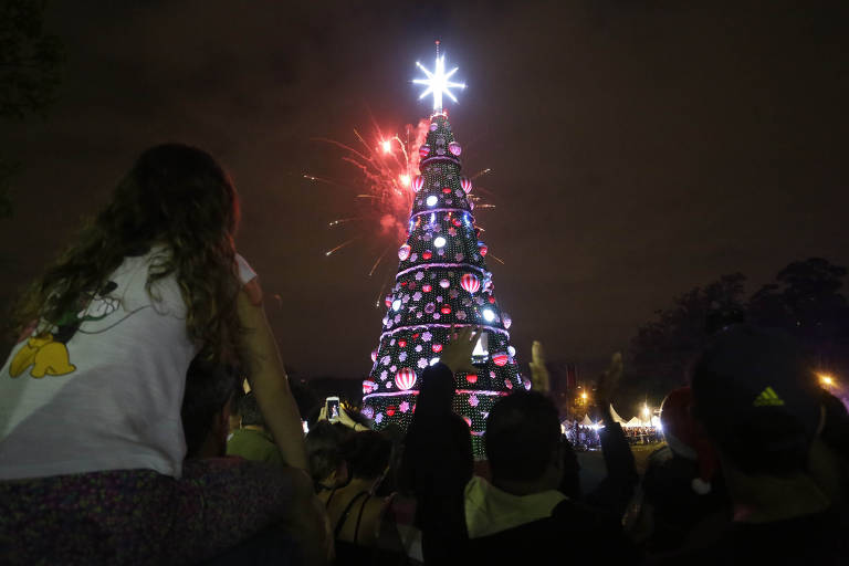 Árvore de Natal do Ibirapuera é inaugurada