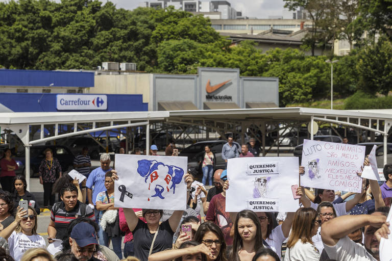 Manifestantes levam cartazes a protesto contra a morte da cadela Manchinha