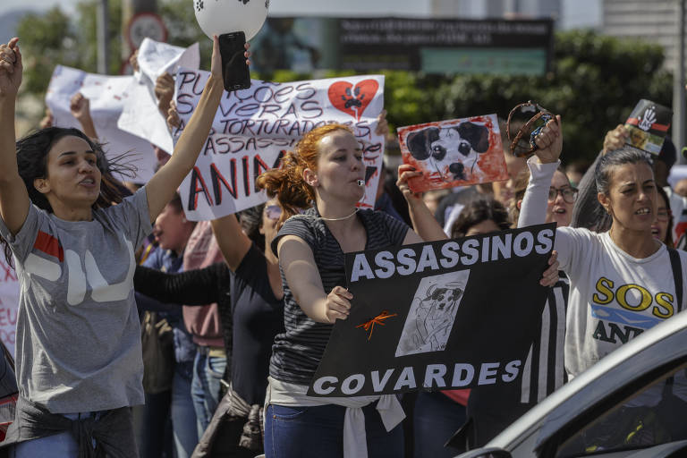 Manifestantes protestam em frente ao Carrefour de Osasco contra morte de cadela