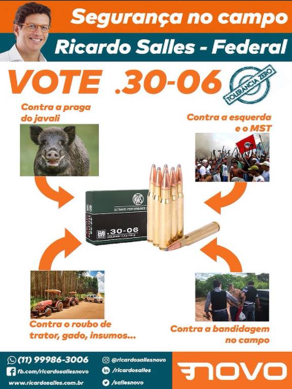 Material de campanha de Ricardo Salles pede voto contra praga do javali e bandidagem no campo