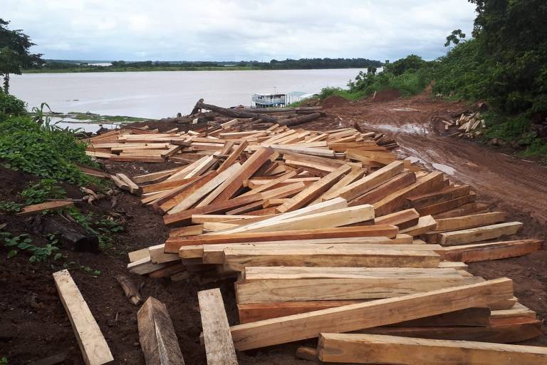 Madeireira interditada em operação do Ibama, em Manacapuru (AM), em 2018